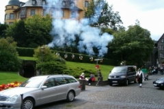 db_HPIM29611