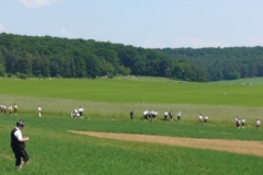 Neubrunn2008-037