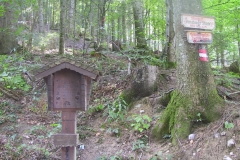 Vocklabruck-341