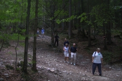Vocklabruck-345