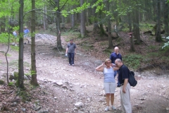 Vocklabruck-346