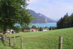 Vocklabruck-349