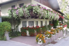 Vocklabruck-352